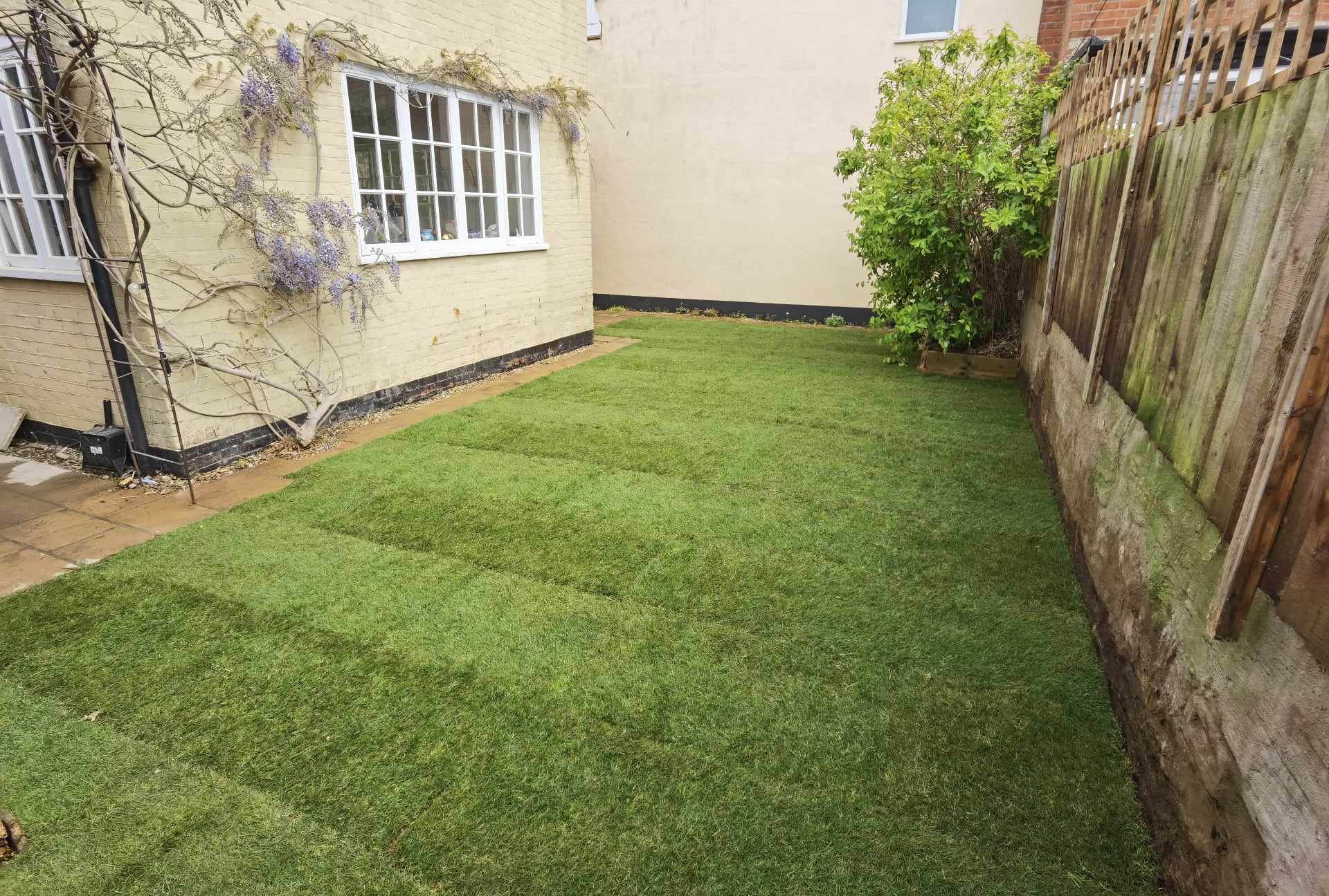 Artificial grass installation Suffolk — Uniform, perfectly maintained synthetic turf lawn in residential garden space