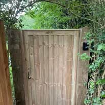 Fencing & gates Suffolk — Wooden fence gate with vertical boards and metal hinges, surrounded by vegetation