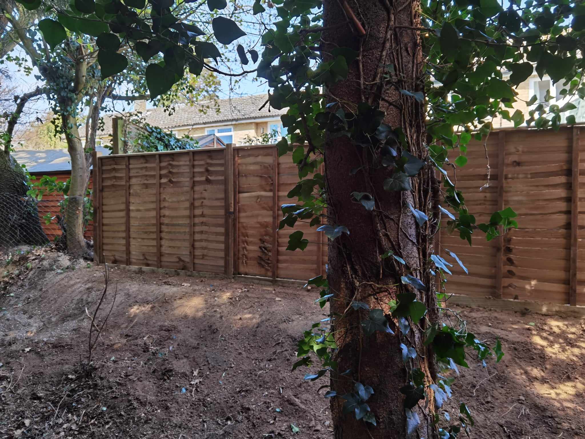 Fencing & gates Suffolk — Wooden fence panels installed in garden with mature tree
