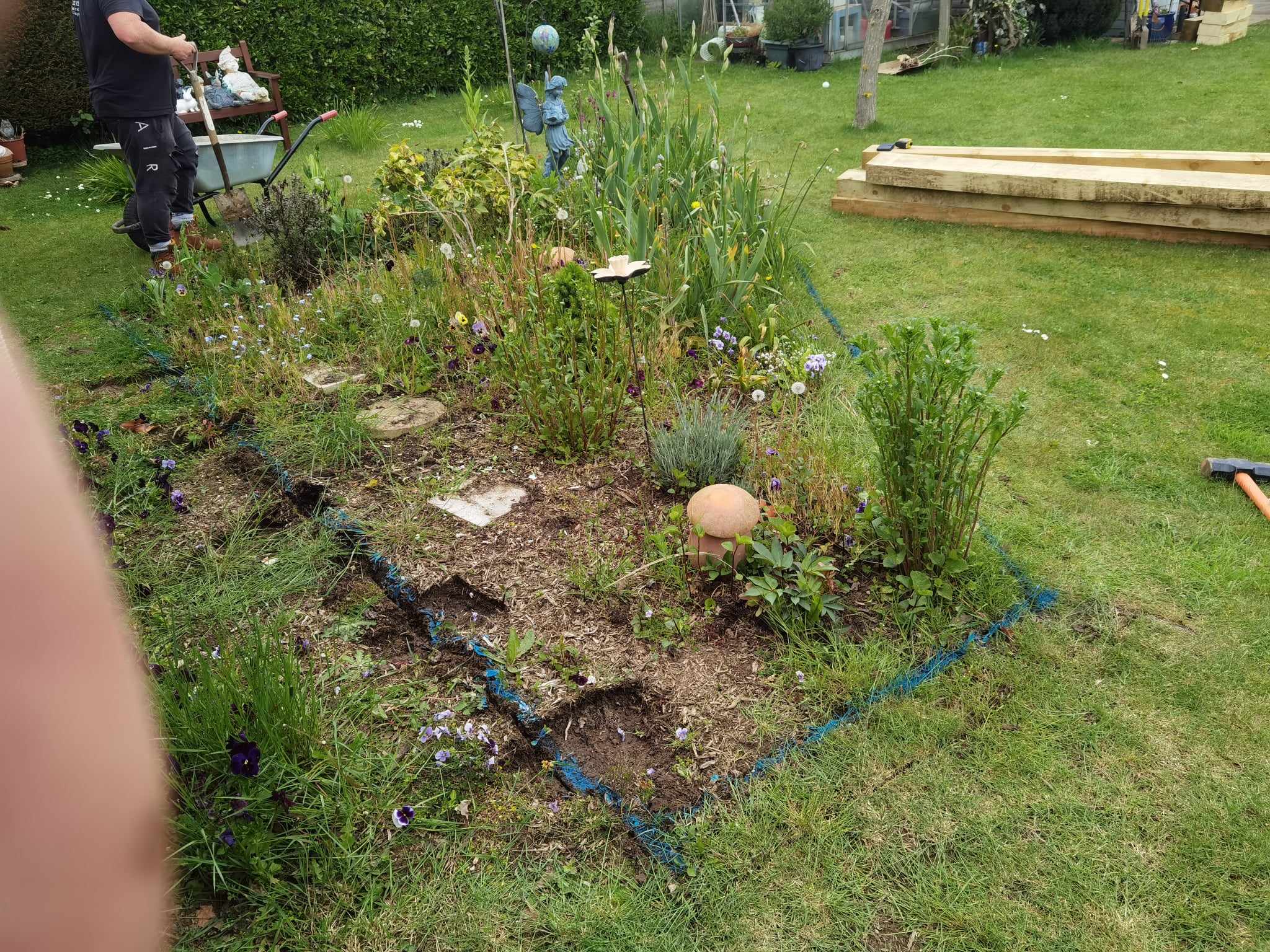 Flower bed design Suffolk — Garden bed with mixed perennials, ornamental grasses, and blue edging rope