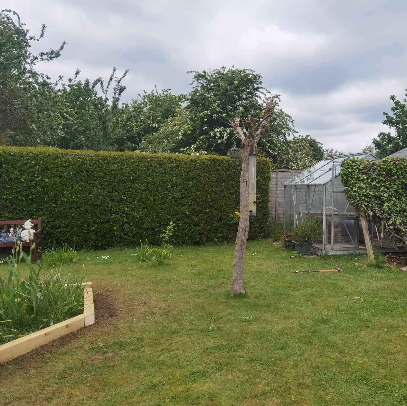 Garden landscaping project Suffolk — Wide landscaped garden shot with turf, hedging, greenhouse, and mature trees