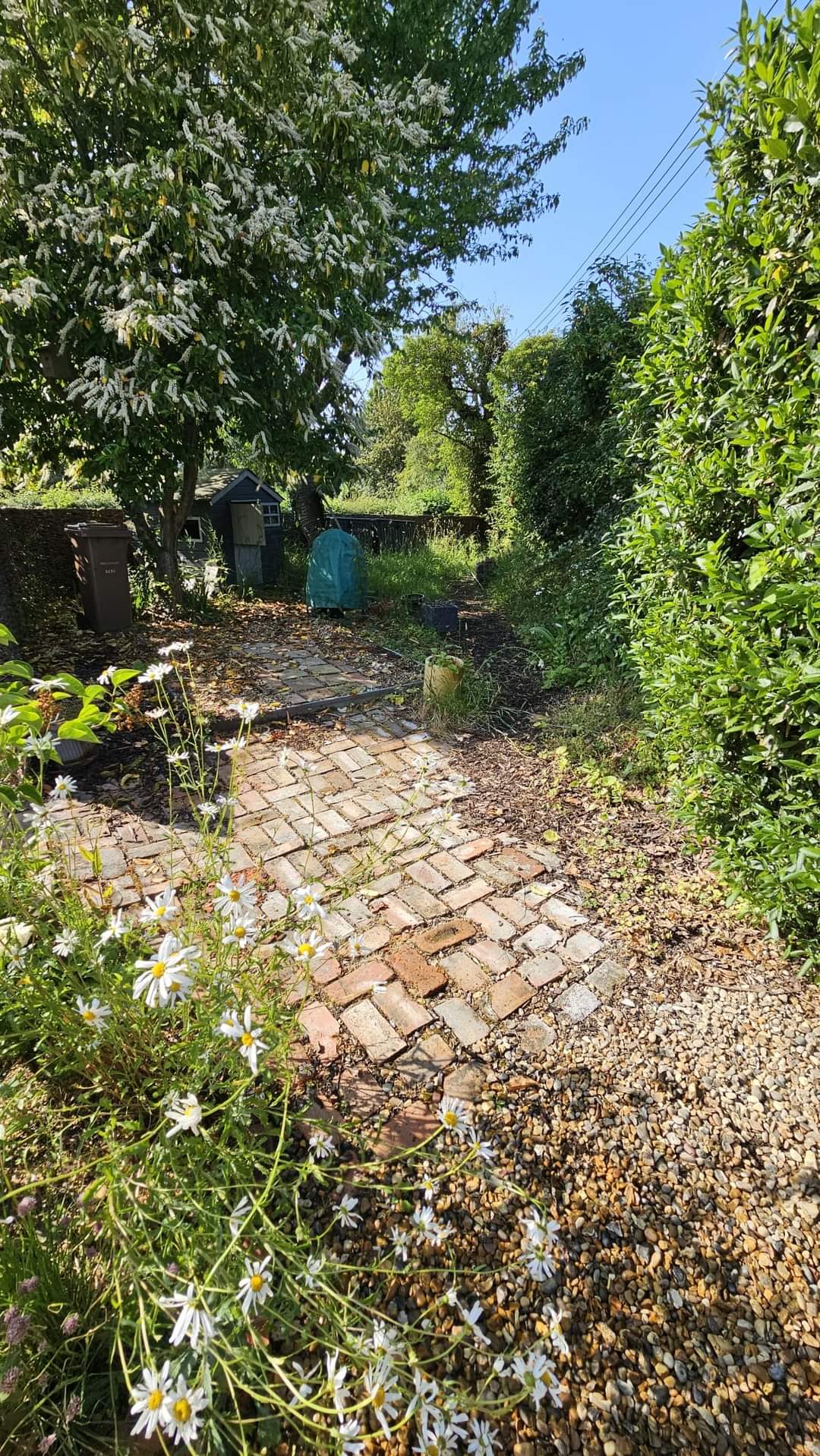 Patio installation Suffolk — Brick and stone paved garden pathway with surrounding flower beds and hedging