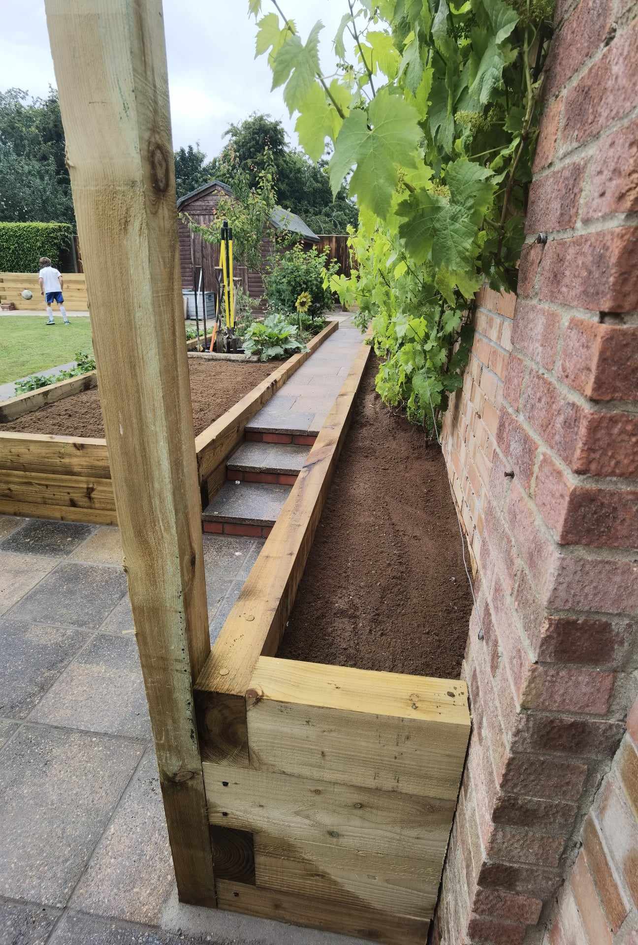Raised bed garden Suffolk — Wooden raised garden beds with soil and climbing vines along narrow garden path