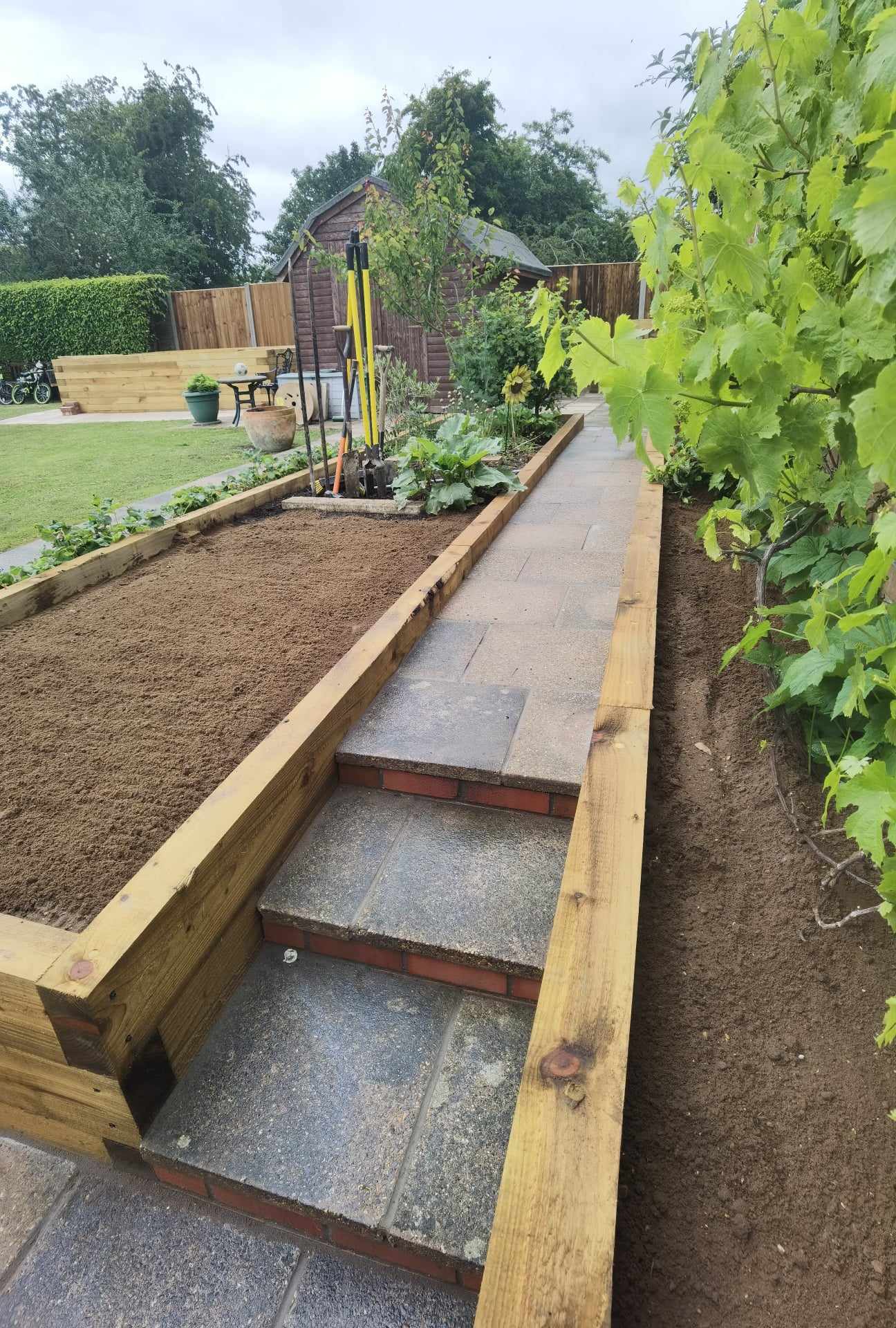 Raised bed garden Suffolk — Wooden raised garden beds with soil and climbing plants visible