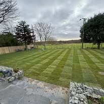 Turfing & lawn Suffolk — Well-maintained striped lawn with professional mowing pattern, mature garden setting
