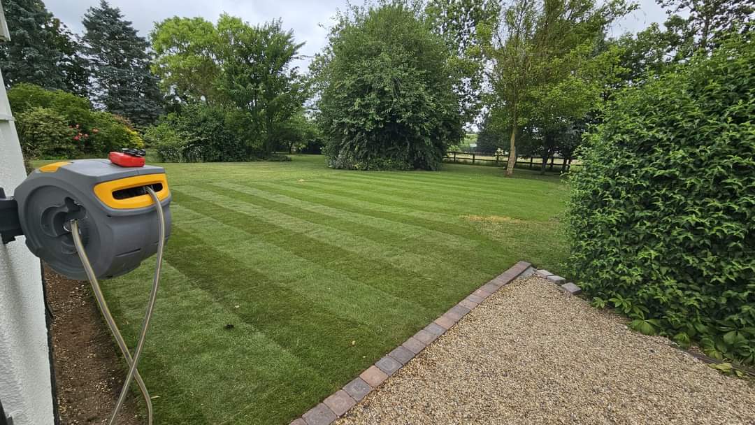 Turfing & lawn Suffolk — Well-maintained real grass lawn with manicured appearance and clear edges