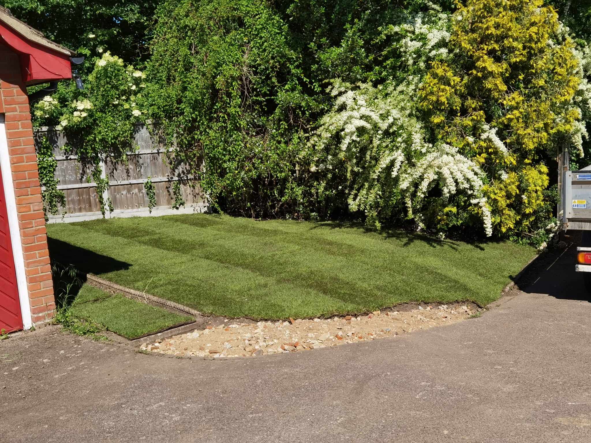Turfing & lawn Suffolk — Well-maintained green lawn with established hedging and flowering shrubs backdrop