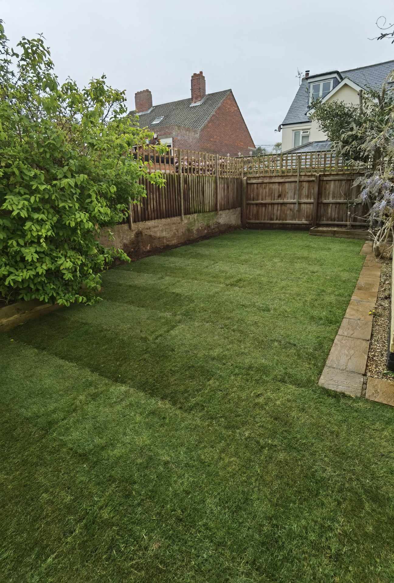 Turfing & lawn Suffolk — Well-maintained real grass lawn with fencing and landscaping borders