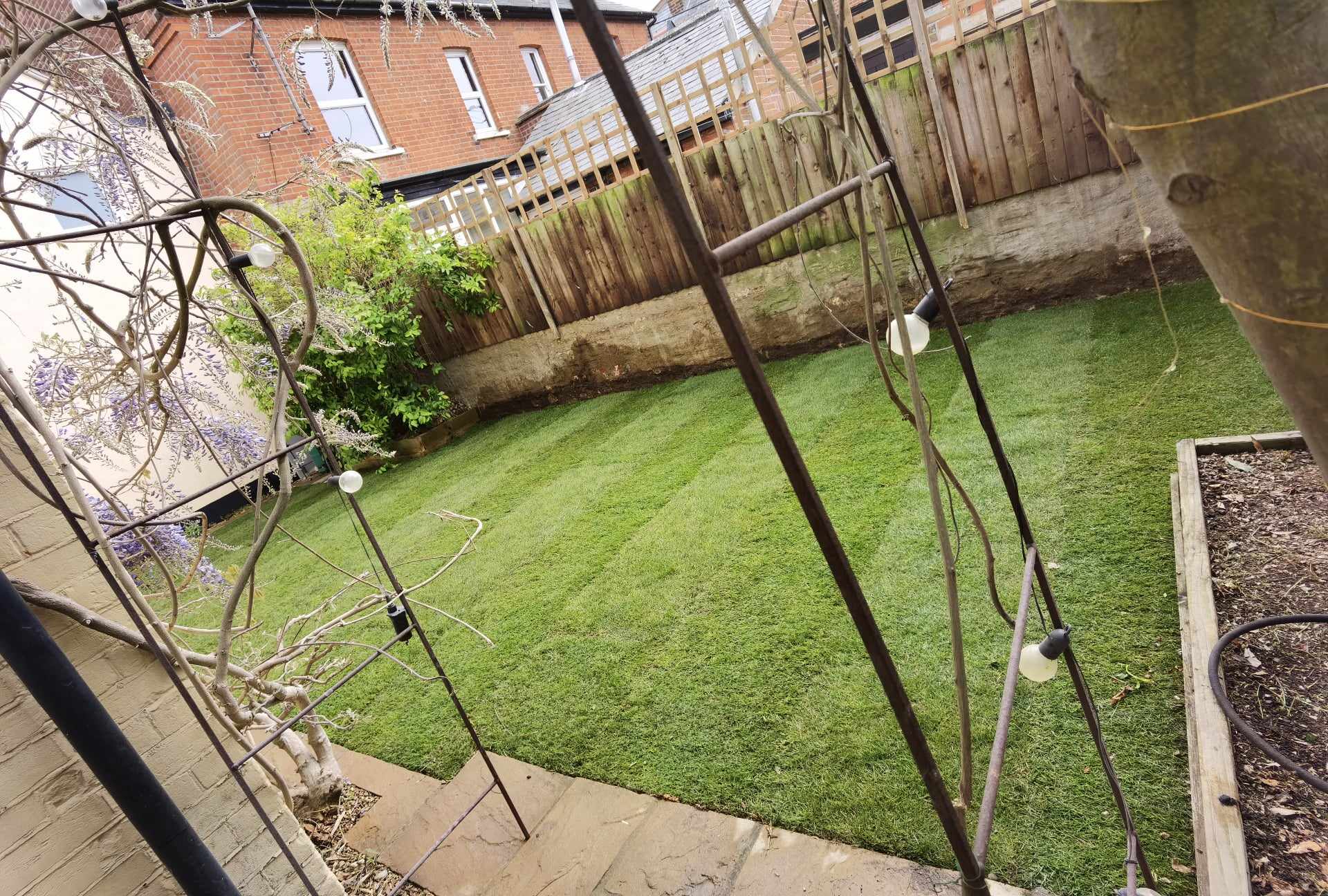 Turfing & lawn Suffolk — Well-maintained green lawn in residential garden space